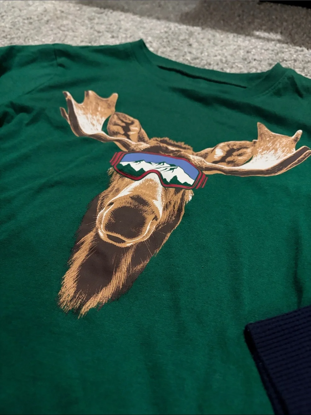 The Children's Place Green Moose Graphic Long Sleeve Tee with Navy Sleeves